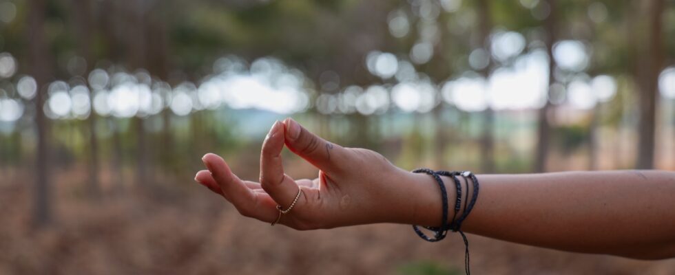 a person holding out their hand in a forest